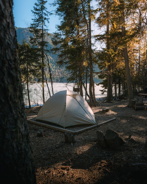 Camping Adventures Await
